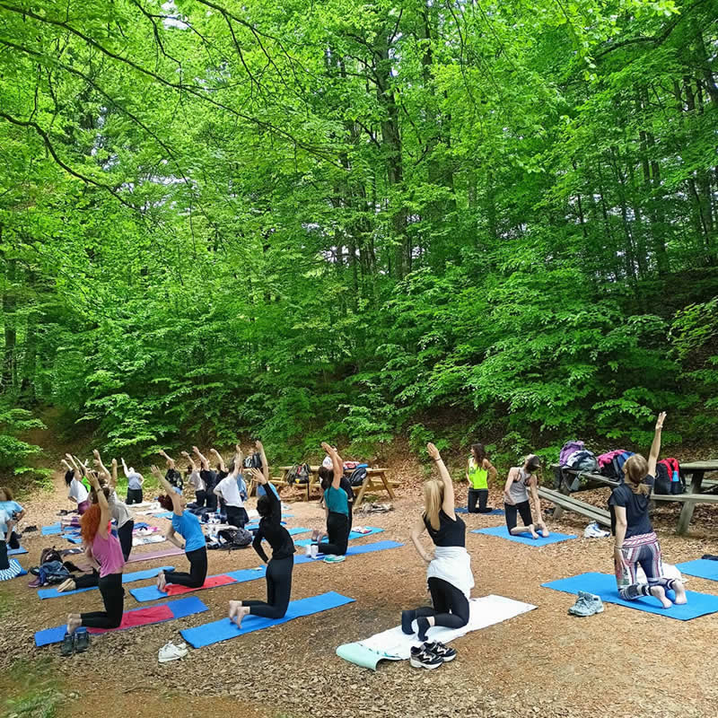 Hiking trip & Yoga class at Mountain Paiko