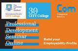 Professional Development Seminar Online: Remote Working, Hints & Tips